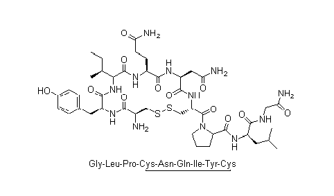 催產(chǎn)素結(jié)構(gòu)式